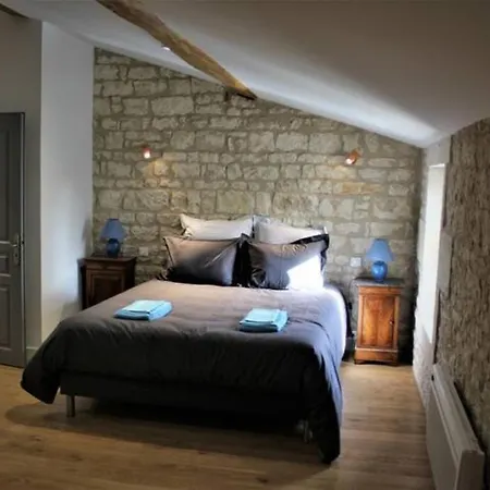 Chateau Des Loups - Les Cedres Bleus Echire