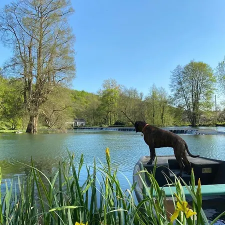 Chateau Des Loups - Les Cedres Bleus *