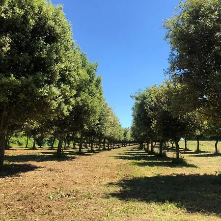 Chateau Des Loups - Les Cedres Bleus Сasa de vacaciones *