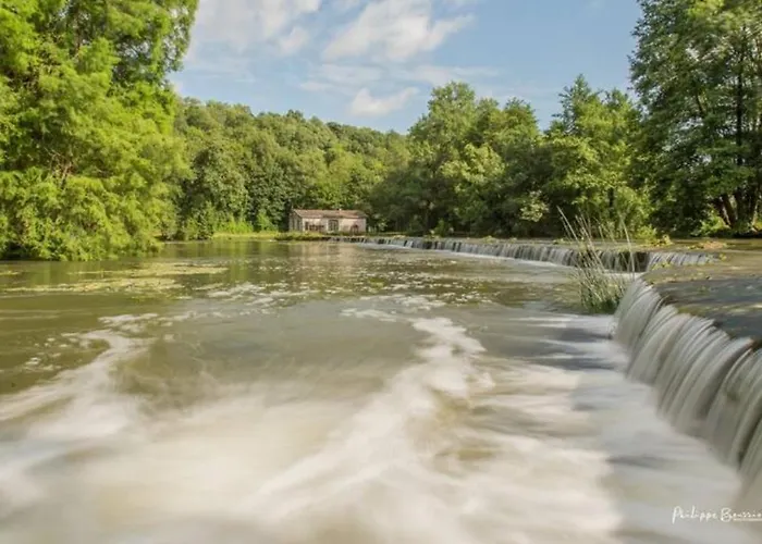Château Des Loups - Les Cèdres Bleus *
