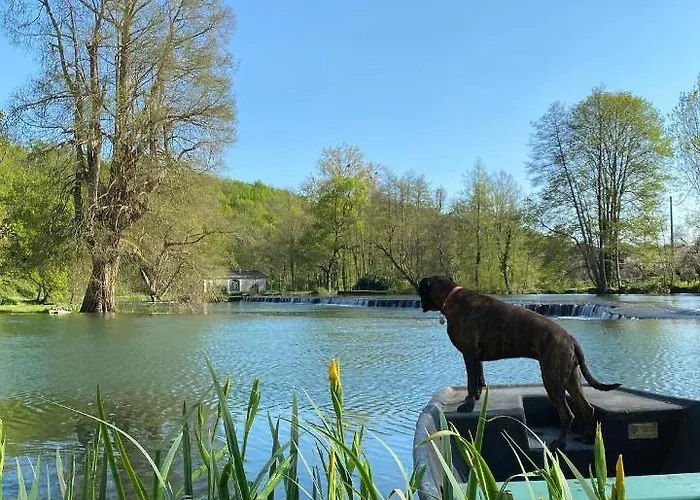 Château Des Loups - Les Cèdres Bleus *
