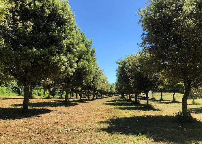 Château Des Loups - Les Cèdres Bleus Casa de Férias *